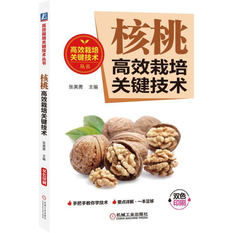 ���Ҹ�Ч�����P(gu��n)�I���g(sh��)