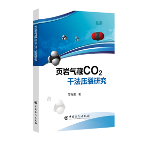 퓎r���CO2�ɷ������о�