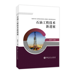 ʯ�͹��̼��g���Mչ 2014-2019