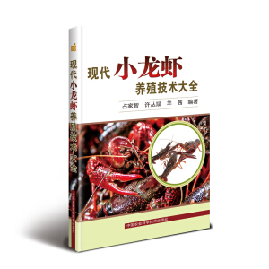 �F(xi��n)��С���r�B(y��ng)ֳ���g(sh��)��ȫ