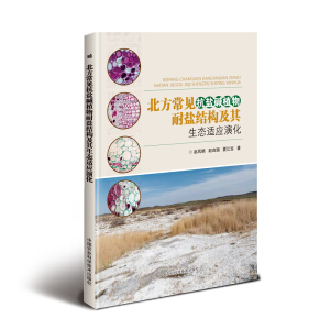 ������Ҋ���}�Aֲ�����}�Y(ji��)��(g��u)�������B(t��i)�m��(y��ng)�ݻ�