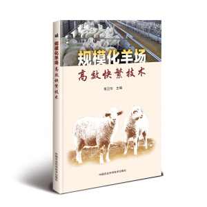 Ҏ(gu��)���������Ч�췱���g(sh��)