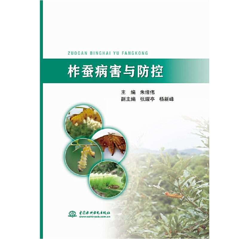 ���Q�����c����