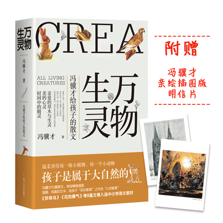 �f�����`���T�K�Žo���ӵ�ɢ�ģ��T�K�Žo���ӵġ����`�������������H�L��ɫ��D����ٛ��D�澫������Ƭ��