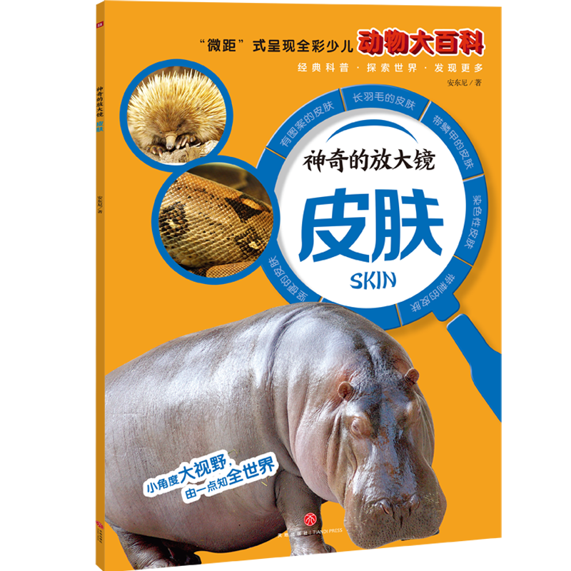 ����ķŴ��R��Ƥ�w����΢�ࡱʽ�ʬF(xi��n)ȫ���ك������ٿ���ȫ��������չ�F(xi��n)����Ą������������l(f��)���ӵ���֪���c̽���������