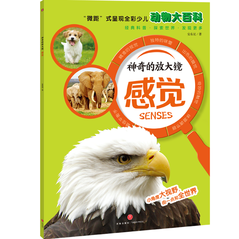 ����ķŴ��R�����X����΢�ࡱʽ�ʬF(xi��n)ȫ���ك���(d��ng)���ٿ���ȫ��������(zh��n)չ�F(xi��n)����Ą�(d��ng)�����������l(f��)���ӵ���֪���c̽���������