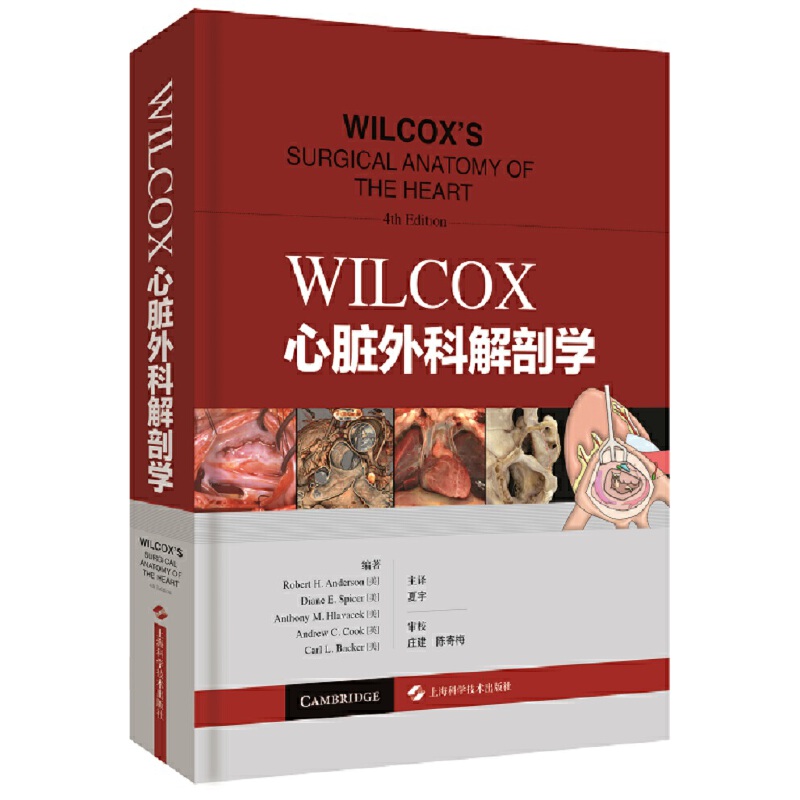 WILCOX���K��ƽ��ʌW(xu��)