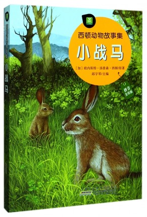 С��(zh��n)�R