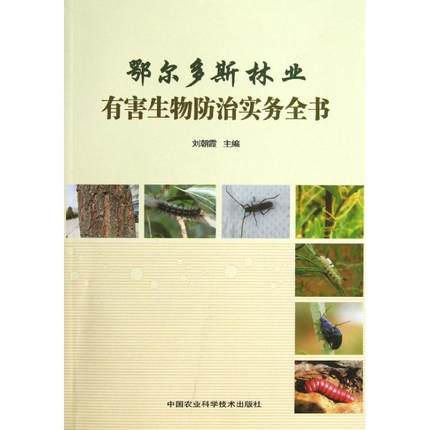 ������˹�֘I(y��)�к�������Ό���ȫ��