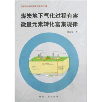 ú̿���⻯�^���к�΢��Ԫ���D(zhu��n)������Ҏ(gu��)��