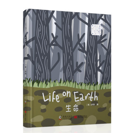 ��������Ӣ���գ�