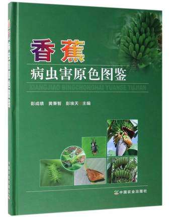 �㽶���x��ԭɫ�D�b