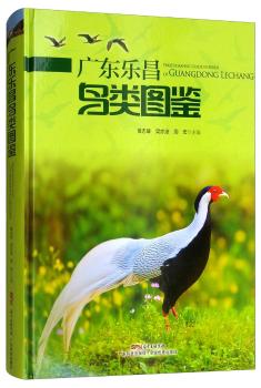 �V�|��(l��)���BD�b