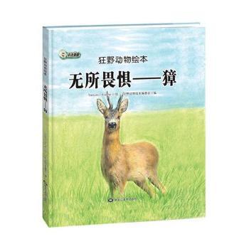 �o��η�֡����