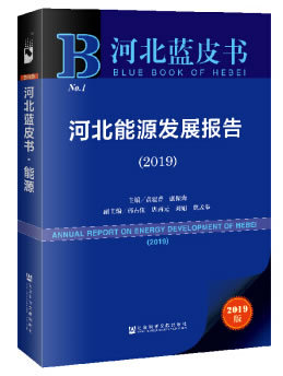 �ӱ���Դ�l(f��)չ��(b��o)��.2019