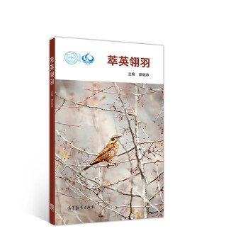 ��Ӣ����