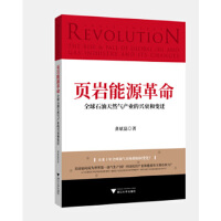 �(y��)�r��Դ������ȫ��ʯ����Ȼ��a(ch��n)�I(y��)���d˥��׃�w