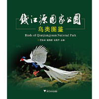 �X��Դ���ҹ��@�BD�b