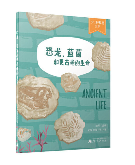 �������{(l��n)���͸����ϵ�����