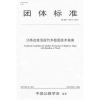 ��·߅�\����ľ��(w��n)�̼��g(sh��)ָ�ϣ�T/CHTS 10010��2019��