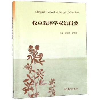 ���������W(xu��)�p�Z݋Ҫ