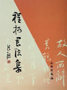 �̓P(y��ng)������(ƽ)