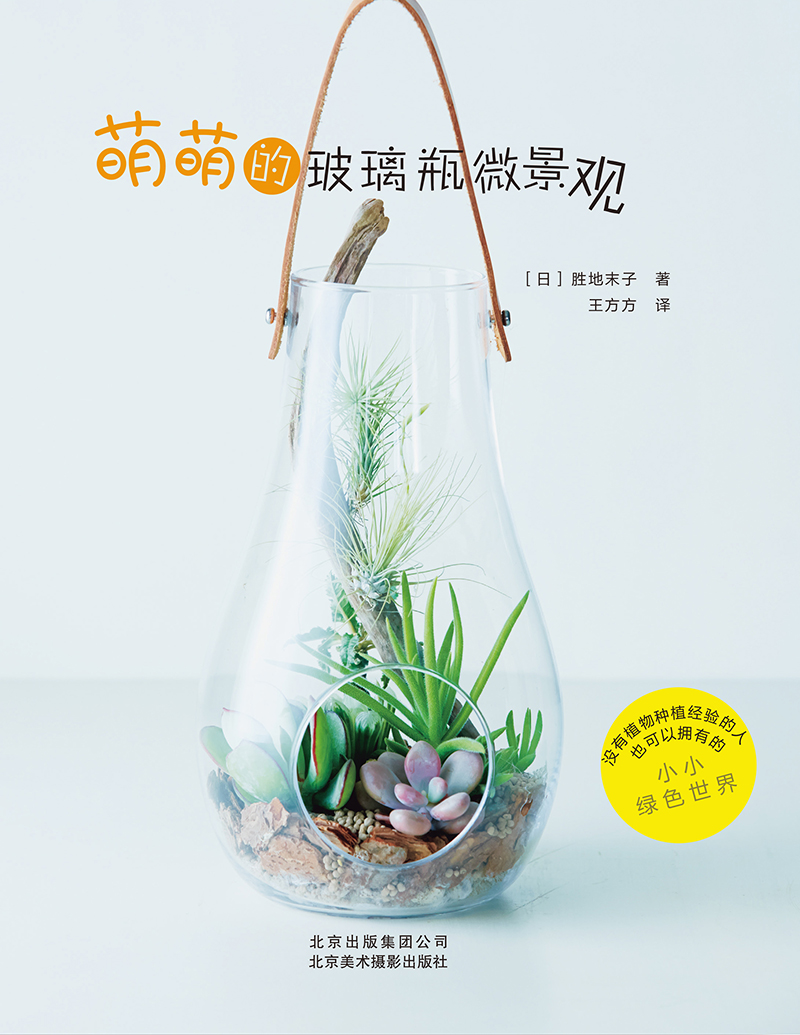 ���ȵĲ���ƿ΢���^