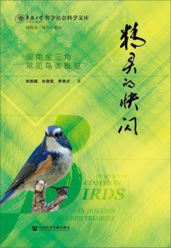 ���`�Ŀ��W