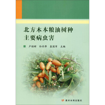 ����ľ���Z�͘�N��Ҫ���x��