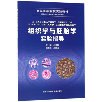 �M���W�c��̥�W���ָ��