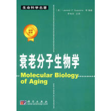 ˥�Ϸ�������W