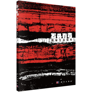 ʯ�^�ж������������B(t��i)���Y