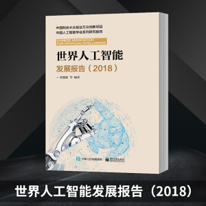 �����˹����ܰl(f��)չ��棨2018��