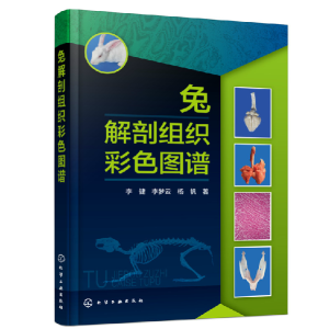 �ý��ʽM����ɫ�D�V