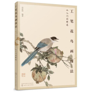 ���P���B�����������T����ͨ