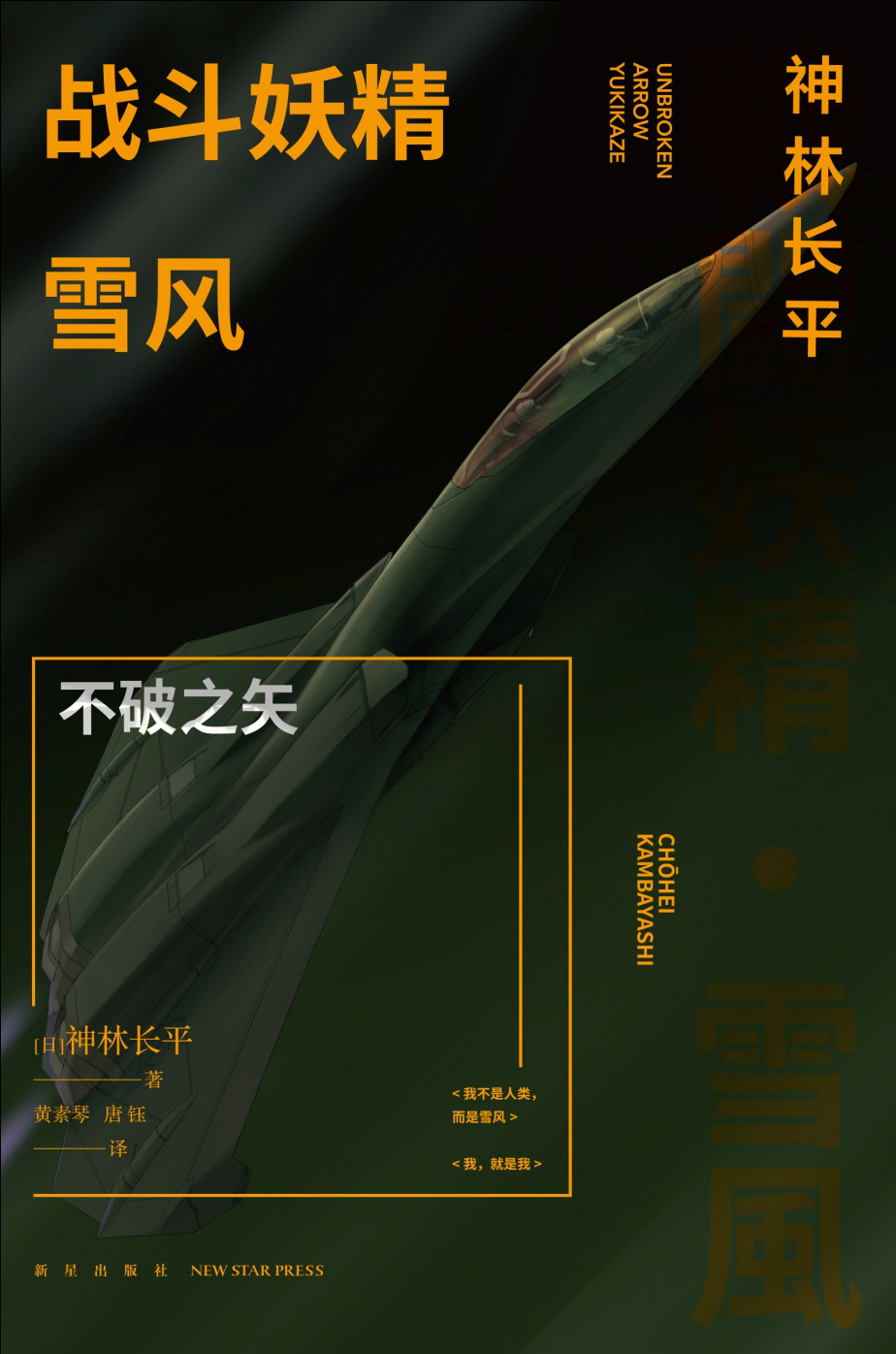 ��(zh��n)������ѩ�L(f��ng):����֮ʸ