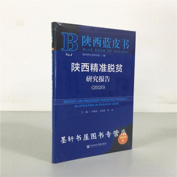 �������(zh��n)Óؚ�о���(b��o)�棨2020��