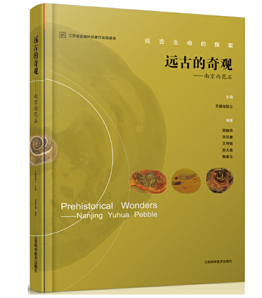 �h(yu��n)�ŵ����^���Ͼ��껨ʯ