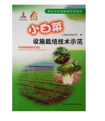 С�ײ��O(sh��)ʩ���༼�g(sh��)ʾ��