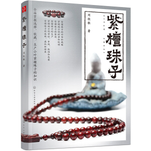 ��̴����