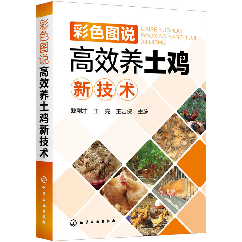 ��ɫ�D�f(shu��)��Ч�B(y��ng)���u�¼��g(sh��)