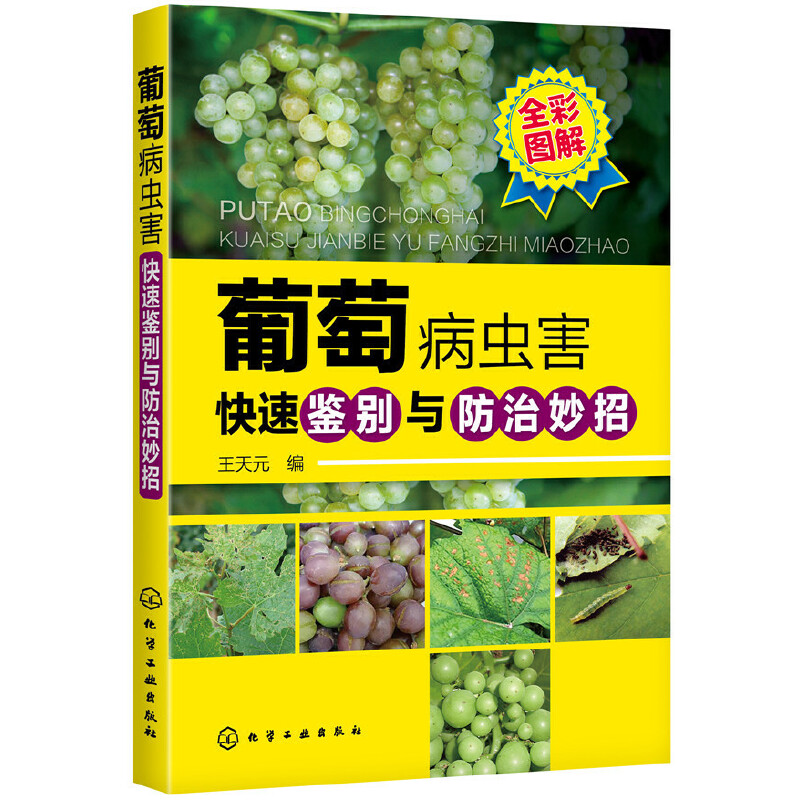 ���Ѳ��x�������b�e�c��������