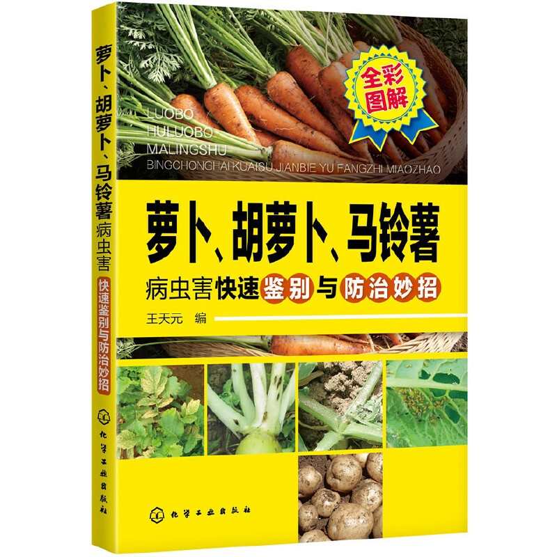 �}�������}�����R������x(ch��ng)�������b�e�c��������