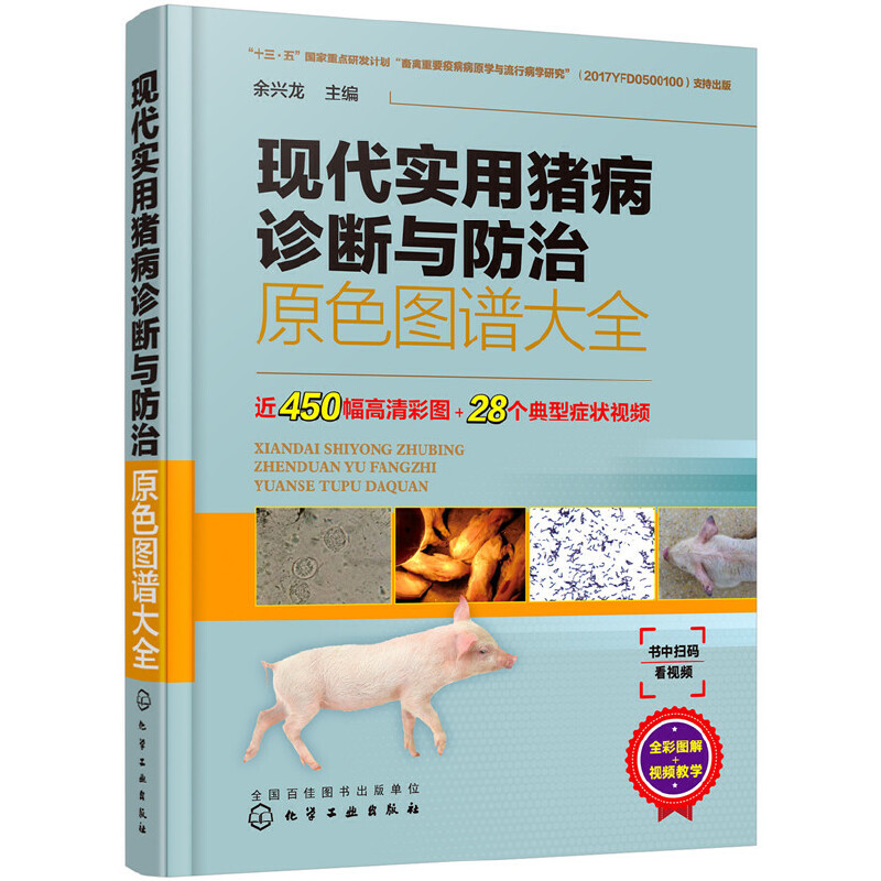 �F(xi��n)����(sh��)���i���\���c����ԭɫ�D�V��ȫ