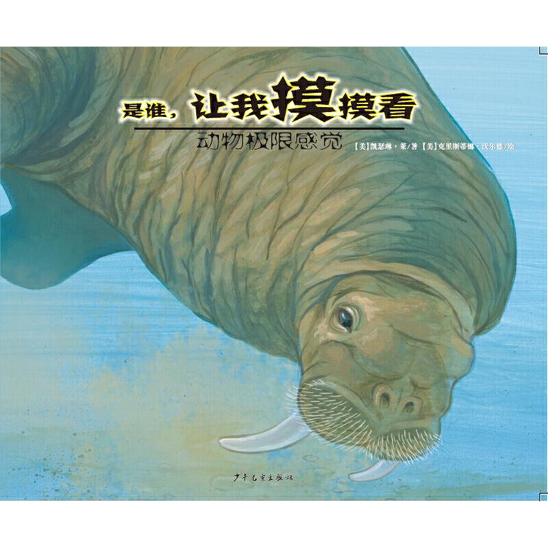 ����O�޸��X-���l��׌��������