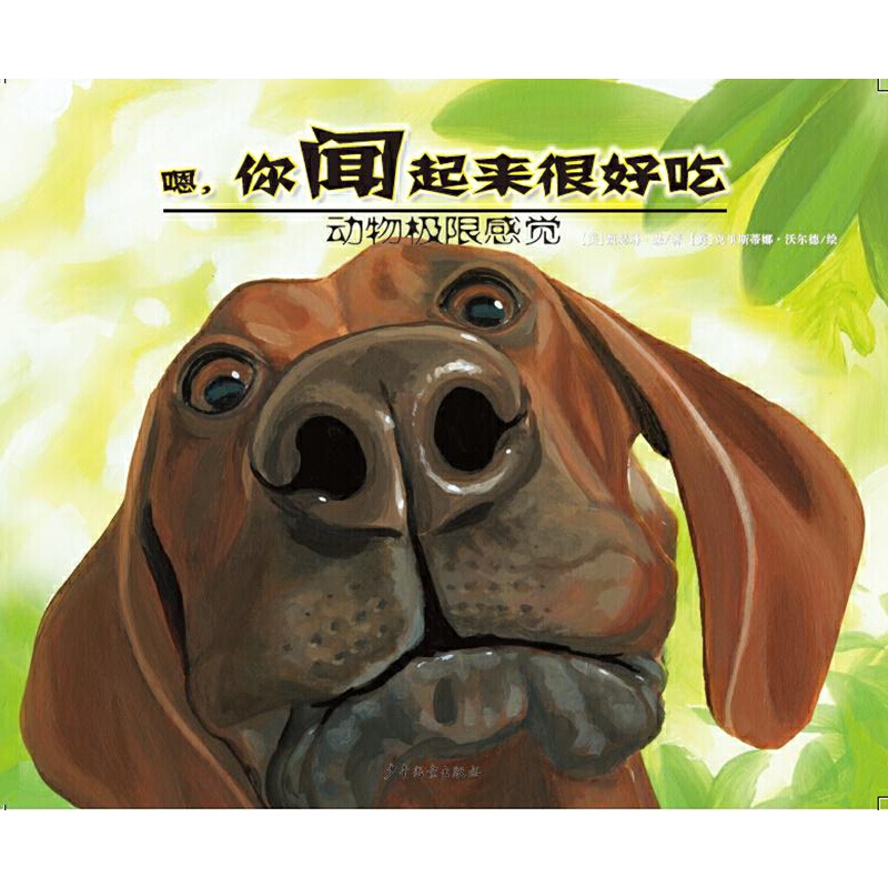 ����O�޸��X-�����������ܺó�