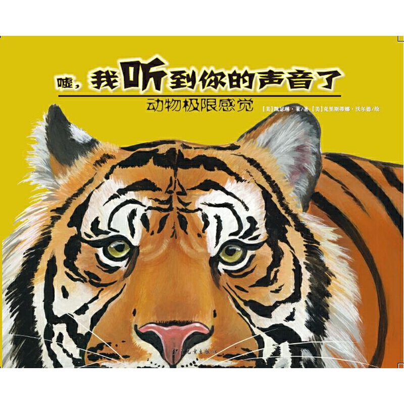 ��(d��ng)��O�޸��X-�u���� ���������