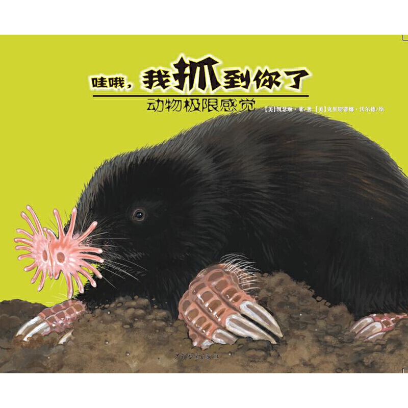 ����O�޸��X-��Ŷ����ץ������