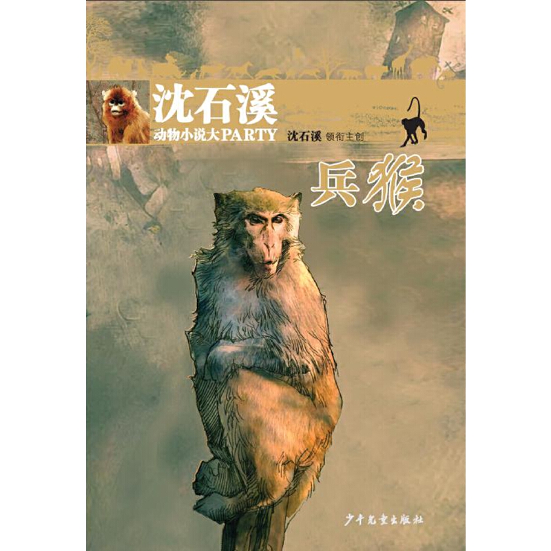 ��ʯϪ����С�f��party������