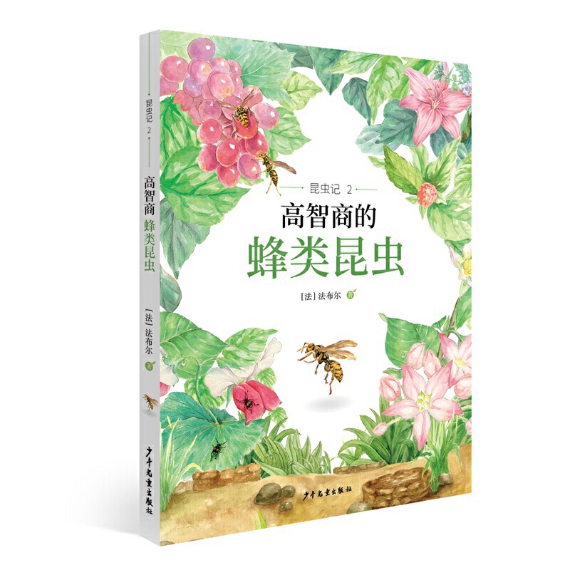 ���xӛ2 �����̵ķ�����x